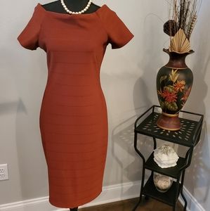 Dress-NEVER WORN